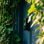 A Ring Doorbell mounted on a front door surrounded by greenery.